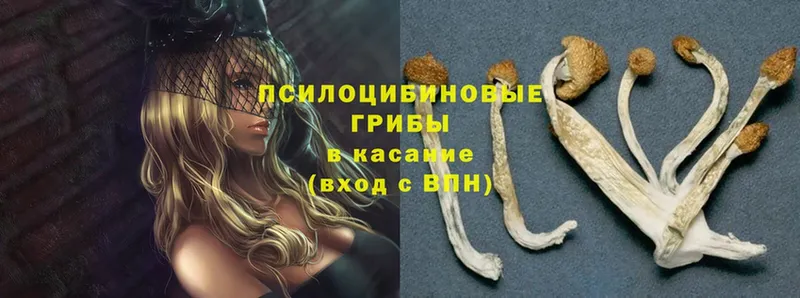 площадка как зайти  hydra tor  Юхнов  Галлюциногенные грибы Magic Shrooms 